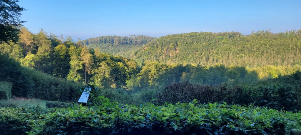 Scenic forest landscape with dense greenery and rolling hills under a clear blue sky, capturing the serene outdoor environment suitable for clay shooting.